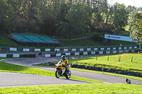 Middle Group Yellow Bikes